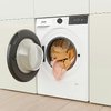 Стиральная машина Gorenje WG494A11