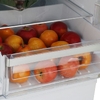 Холодильник встраиваемый Hotpoint HBT 18